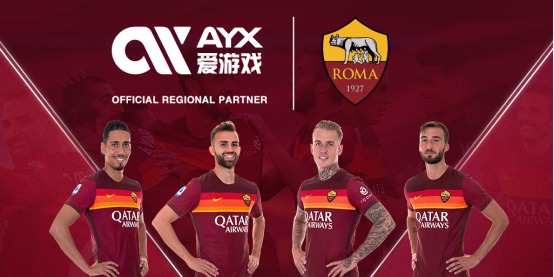国内的发展